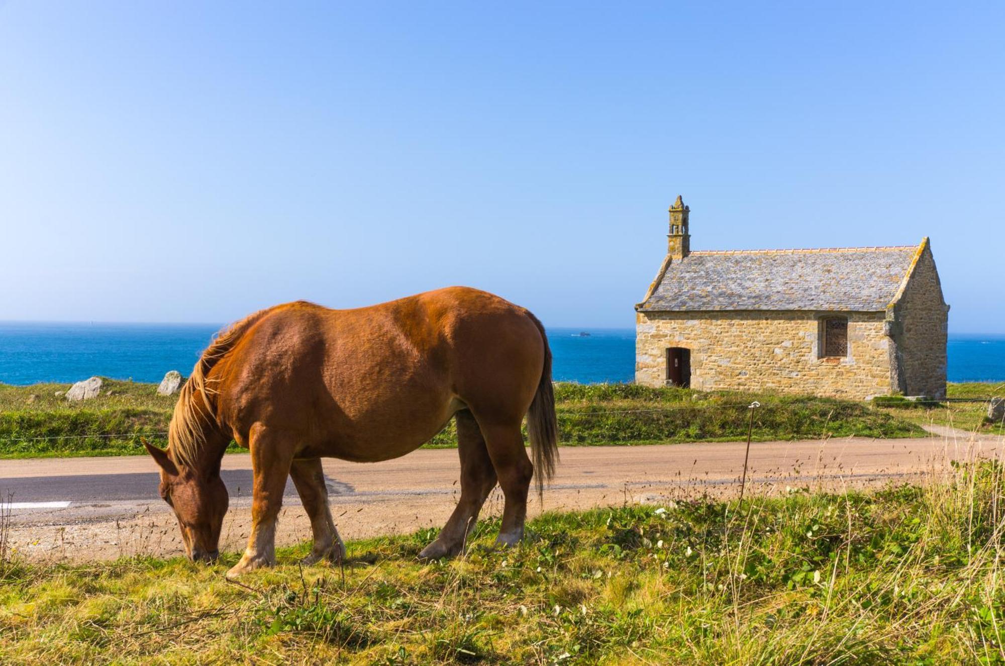 Gwel Ar Mor - Jolie Maison De Charme Renovee Proche Du Port Lanildut Экстерьер фото